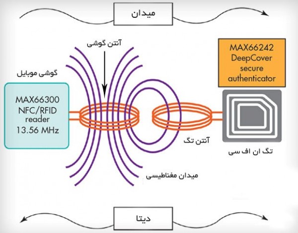 تگ ان اف سی